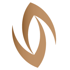 sanchocolate.com